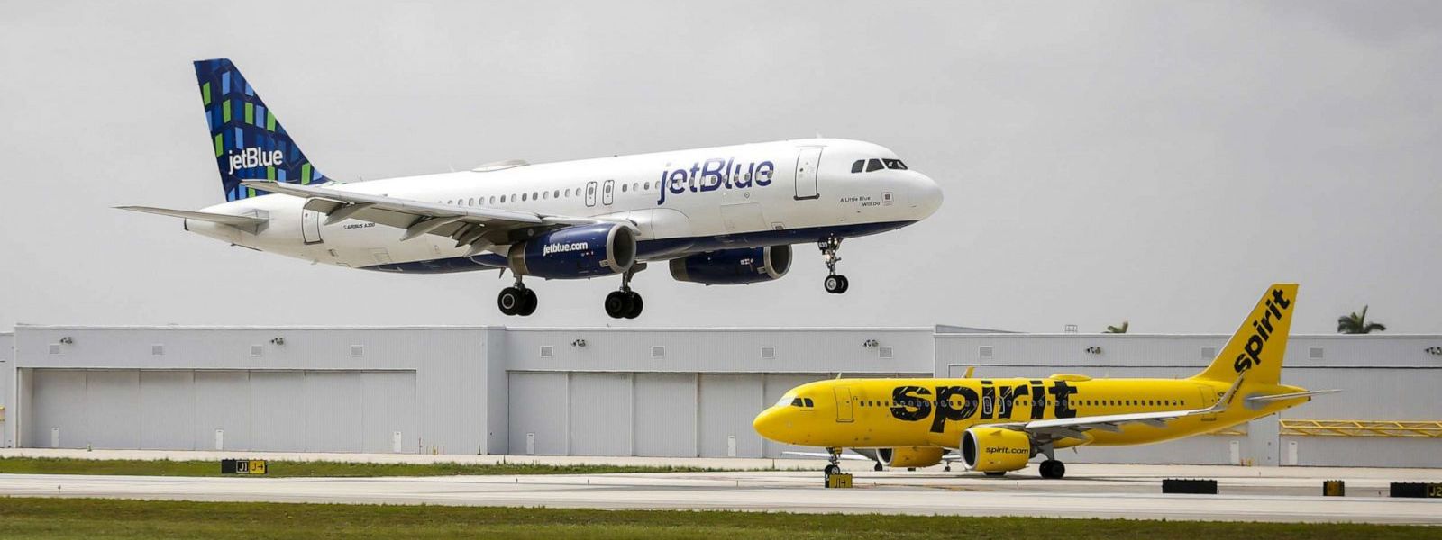 US Govt blocks JetBlue buying Spirit Airlines